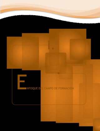 I.

E

NFOQUE DEL CAMPO DE FORMACIÓN

 