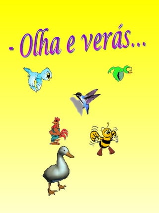 - Olha e verás… 