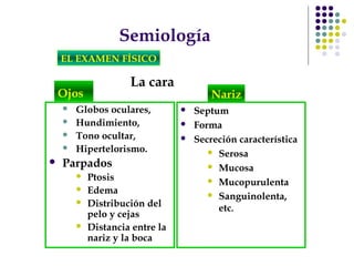 Semiología
EL EXAMEN FÍSICO
La cara
Ojos
 Globos oculares,
 Hundimiento,
 Tono ocultar,
 Hipertelorismo.
 Parpados
 Ptosis
 Edema
 Distribución del
pelo y cejas
 Distancia entre la
nariz y la boca
 Septum
 Forma
 Secreción característica
 Serosa
 Mucosa
 Mucopurulenta
 Sanguinolenta,
etc.
Nariz
 