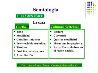 Semiología
EL EXAMEN FÍSICO
La cara
• En el examen de cara observar simetría fundamentalmente
Cuello
 Tono
 Movilidad
 Ganglios linfáticos
 Esternocleidomastoideo
 Tiroides
 Posición de la traquea
 Auscultación
 Postura
 Curvatura
 Quistes movilidad
 Hacer una inspección y
 Palpación cuidadosa en
el recién nacido. .
Columna vertebral
 
