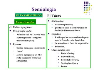 Semiología
EL EXAMEN FÍSICO El Tórax
Auscultación
c) Ruidos agregados
 Respiración ruda:
 Aumento del RLT que se hace
áspero (proceso laringeo o
traqueobronquial).
 Roncos:
 Sonido bronquial inspiratório
 “seco”
 áspero, agregado a un RLT
rudo (secresion bronquial
adherente).
 Sibilancias:
 silbido espiratorio,
 puede ser seco o acompañarse de
burbujas finas o medianas.
 Crepitos:
 Ruido que hace un mechón de pelo
seco al frotarlo entre los dedos.
 Se auscultan al final de inspiración
 Son secos.
 Otros ruidos son:
 Broncofonía y
 Soplo tubario,
 Soplo tubopleural,
 Soplo pleurítico y
 Frotes
 