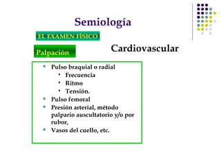 Semiología
EL EXAMEN FÍSICO
CardiovascularPalpación
 Pulso braquial o radial
 Frecuencia
 Ritmo
 Tensión.
 Pulso femoral
 Presión arterial, método
palpario auscultatorio y/o por
rubor,
 Vasos del cuello, etc.
 