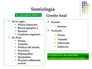 Semiología
EL EXAMEN FÍSICO Genito-Anal
 En la ingle:
 Pulsos femorales
 Buscar ganglios y
 Hernias
 Conducto inguinal. .
 EL Pene
 Forma,
 Tamaño,
 Orificio del meato,
 Secresion,
 Hipospadias,
 Epispadias,
 Prepucio adherente
uretral
 Escroto:
 hernias
 Testículo
 Forma
 Tamaño
 Ubicación
 hidrocele
La evaluación del niño debe
realizarse completamente desnudo
 