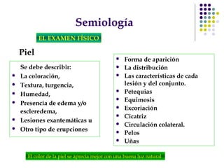 Semiología
EL EXAMEN FÍSICO
Piel
Se debe describir:
 La coloración,
 Textura, turgencia,
 Humedad,
 Presencia de edema y/o
escleredema,
 Lesiones exantemáticas u
 Otro tipo de erupciones
 Forma de aparición
 La distribución
 Las características de cada
lesión y del conjunto.
 Petequias
 Equimosis
 Excoriación
 Cicatriz
 Circulación colateral.
 Pelos
 Uñas
El color de la piel se aprecia mejor con una buena luz natural
 