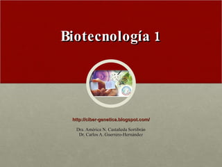 Biotecnología 1 http://ciber-genetica.blogspot.com / Dra. América N. Castañeda Sortibrán Dr. Carlos A. Guerrero-Hernández 