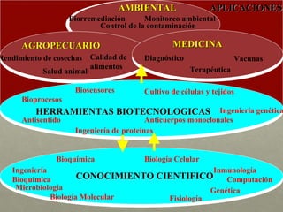 CONOCIMIENTO   CIENTIFICO Bioquímica Ingeniería Bioquímica Microbiología Biología Molecular Biología Celular Computación Genética Inmunología Fisiología HERRAMIENTAS BIOTECNOLOGICAS Biosensores Antisentido Bioprocesos Ingeniería de proteínas Anticuerpos monoclonales Cultivo de células y tejidos Ingeniería genética MEDICINA AMBIENTAL AGROPECUARIO Rendimiento de cosechas Salud animal Calidad de alimentos Diagnóstico Vacunas Terapéutica Biorremediación Monitoreo ambiental Control de la contaminación APLICACIONES 