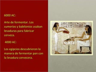 6000 AC:  Arte de fermentar. Los sumerios y babilonios usaban levaduras para fabricar cerveza. 4000 AC:  Los egipcios descubrieron la manera de fermentar pan con la levadura cervecera. 