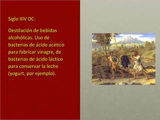 Siglo XIV DC:  Destilación de bebidas alcohólicas. Uso de bacterias de ácido acético para fabricar vinagre, de bacterias de ácido láctico para conservar la leche (yogurt, por ejemplo). 