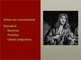 Anton van Leeuwenhoek Descubrió Bacterias Protistas Células sanguíneas 
