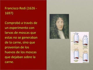 Francisco Redi (1626 - 1697) Comprobó a través de un experimento con larvas de moscas que estas no se generaban de la carne, sino que provenían de los huevos de los moscas que dejaban sobre la carne. 