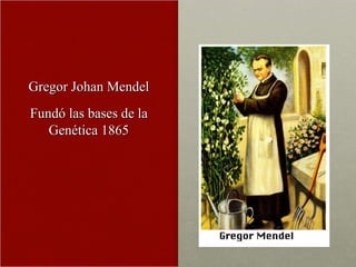 Gregor Johan Mendel Fundó las bases de la Genética 1865 