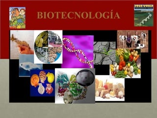 BIOTECNOLOGÍA 