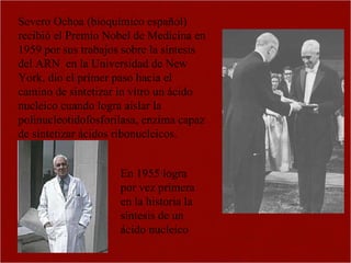 Severo Ochoa (bioquímico español) recibió el Premio Nobel de Medicina en 1959 por sus trabajos sobre la síntesis del ARN  en la Universidad de New York,  dio el primer paso hacia el camino de sintetizar in vitro un ácido nucleico cuando logra aislar la polinucleotidofosforilasa, enzima capaz de sintetizar ácidos ribonucleicos.  En 1955 logra por vez primera en la historia la síntesis de un ácido nucleico 