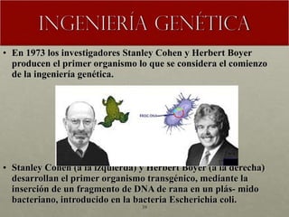 En 1973 los investigadores Stanley Cohen y Herbert Boyer producen el primer organismo lo que se considera el comienzo de la ingeniería genética. Stanley Cohen (a la izquierda) y Herbert Boyer (a la derecha) desarrollan el primer organismo transgénico, mediante la inserción de un fragmento de DNA de rana en un plás- mido bacteriano, introducido en la bacteria Escherichia coli. 