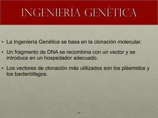 La Ingeniería Genética se basa en la clonación molecular. Un fragmento de DNA se recombina con un vector y se introduce en un hospedador adecuado. Los vectores de clonación más utilizados son los plásmidos y los bacteriófagos. 