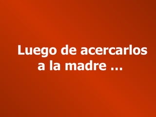 Luego de acercarlos a la madre …