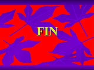 FIN 