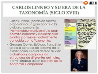 CARLOS LINNEO Y SU ERA DE LA
TAXONOMÍA (SIGLO XVIII)
• Carlos Linneo, (botánico sueco)
proporciona un gran aporte a la
biología, como es la
"Nomenclatura Universal", la cual
permitió nombrar y clasificar a las
plantas y animales, actualmente
conocida como Taxonomía.
• Georges Cuvier, (biólogo francés)el
se dio a conocer de la rama de la
clasificación. El cual dedicó su vida
a clasificar y comparar las
estructuras de diferentes animales,
convirtiéndose así en el padre de la
Anatomía Comparada.
 