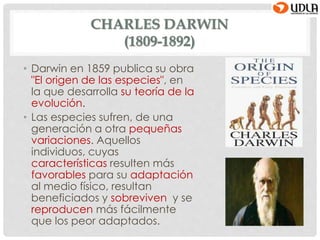 CHARLES DARWIN
(1809-1892)
• Darwin en 1859 publica su obra
"El origen de las especies", en
la que desarrolla su teoría de la
evolución.
• Las especies sufren, de una
generación a otra pequeñas
variaciones. Aquellos
individuos, cuyas
características resulten más
favorables para su adaptación
al medio físico, resultan
beneficiados y sobreviven y se
reproducen más fácilmente
que los peor adaptados.
 