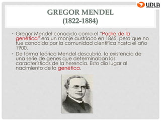 GREGOR MENDEL
(1822-1884)
• Gregor Mendel conocido como el “Padre de la
genética” era un monje austriaco en 1865, pero que no
fue conocido por la comunidad científica hasta el año
1900.
• De forma teórica Mendel descubrió, la existencia de
una serie de genes que determinaban las
características de la herencia. Esto dio lugar al
nacimiento de la genética.
 