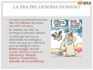LA ERA DEL GENOMA HUMANO
• La tarea planteada era leer
tres mil millones de bases
del ADN humano.
• En febrero de 2001 se
entrega la primera versión.
• La biología de hoy es
altamente tecnológica,
tanto así que ya vivimos lo
que se designa como
Biotecnología, donde
nacen términos como la
Genómica, Terapia
Génica, Proteómica
(estudio de las proteínas).
 