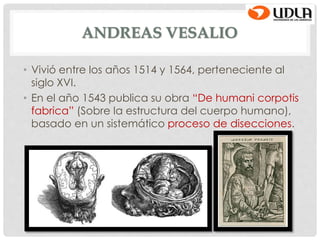 ANDREAS VESALIO
• Vivió entre los años 1514 y 1564, perteneciente al
siglo XVI.
• En el año 1543 publica su obra “De humani corpotis
fabrica” (Sobre la estructura del cuerpo humano),
basado en un sistemático proceso de disecciones.
 