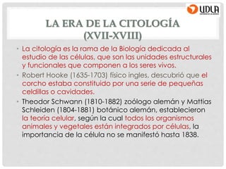 LA ERA DE LA CITOLOGÍA
(XVII-XVIII)
• La citología es la rama de la Biología dedicada al
estudio de las células, que son las unidades estructurales
y funcionales que componen a los seres vivos.
• Robert Hooke (1635-1703) físico ingles, descubrió que el
corcho estaba constituido por una serie de pequeñas
celdillas o cavidades.
• Theodor Schwann (1810-1882) zoólogo alemán y Mattias
Schleiden (1804-1881) botánico alemán, establecieron
la teoría celular, según la cual todos los organismos
animales y vegetales están integrados por células, la
importancia de la célula no se manifestó hasta 1838.
 