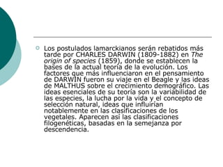 Los postulados lamarckianos serán rebatidos más tarde por CHARLES DARWIN (1809-1882) en  The origin of species  (1859), donde se establecen la bases de la actual teoría de la evolución. Los factores que más influenciaron en el pensamiento de DARWIN fueron su viaje en el Beagle y las ideas de MALTHUS sobre el crecimiento demográfico. Las ideas esenciales de su teoría son la variabilidad de las especies, la lucha por la vida y el concepto de selección natural, ideas que influirían notablemente en las clasificaciones de los vegetales. Aparecen así las clasificaciones filogenéticas, basadas en la semejanza por descendencia.  