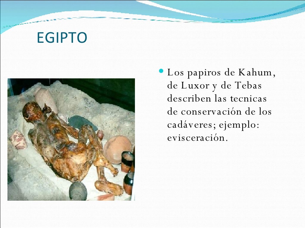 Historia De La Medicina Forense Historia De La Medicina Forense