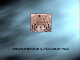 Anfiteatro anatómico de la Universidad de Padua 