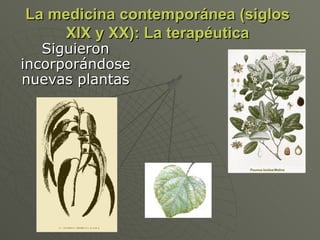 La medicina contemporánea (siglos XIX y XX): La terapéutica Siguieron incorporándose nuevas plantas 