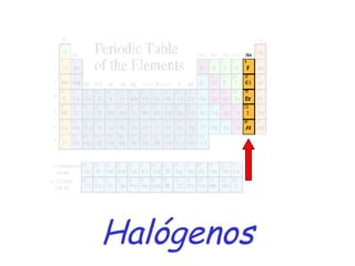 Halógenos 
