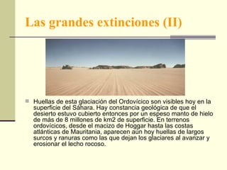 Las grandes extinciones (II) Huellas de esta glaciación del Ordovícico son visibles hoy en la superficie del Sáhara. Hay constancia geológica de que el desierto estuvo cubierto entonces por un espeso manto de hielo de más de 8 millones de km2 de superficie. En terrenos ordovícicos, desde el macizo de Hoggar hasta las costas atlánticas de Mauritania, aparecen aún hoy huellas de largos surcos y ranuras como las que dejan los glaciares al avanzar y erosionar el lecho rocoso.  