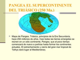 PANGEA EL SUPERCONTINENTE DEL TRIÁSICO (250 Ma.) Mapa de Pangea. Triásico, principios de la Era Secundaria, hace 250 millones de años. Casi todas las tierras emergidas se reúnen en un sólo continente, Pangea, que al poco tiempo comenzará de nuevo a partirse hasta formar los continentes actuales. El estrechamiento y cierre del gran mar tropical de Tethys dará lugar al Mediterráneo. 