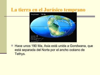 La tierra en el Jurásico temprano Hace unos 190 Ma, Asia está unida a Gondwana, que está separada del Norte por el ancho océano de Tethys.  
