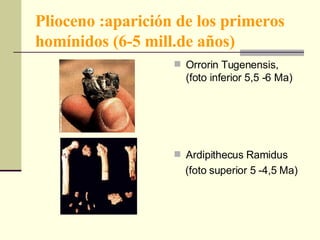 Plioceno :aparición de los primeros homínidos (6-5 mill.de años) Orrorin Tugenensis, (foto inferior 5,5 -6 Ma) Ardipithecus Ramidus (foto superior 5 -4,5 Ma) 
