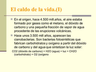 El caldo de la vida.(I) En el origen, hace 4.500 mill.años, el aire estaba formado por gases como el metano, el dióxido de carbono y una pequeña fracción de vapor de agua procedente de las erupciones volcánicas.  Hace unos 3.500 mill años, aparecen las cianobacterias. Son bacterias fotosintéticas que fabrican carbohidratos y oxígeno a partir del dióxido de carbono y del agua que sintetizan la luz solar: CO2 (dióxido de carbono) + H2O (agua) + luz = CH2O (carbohidrato) + O2 (oxígeno 