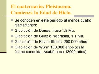 El cuaternario: Pleistoceno. Comienza la Edad de Hielo. Se conocen en este período al menos cuatro glaciaciones: Glaciación de Donau, hace 1,8 Ma. Glaciación de Günz o Nebraska, 1,1 Ma. Glaciación de Riss o Illinois, 200.000 años Glaciación de Würm 100.000 años (es la última conocida. Acabó hace 12000 años) 
