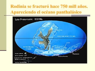 Rodinia se fracturó hace 750 mill años. Apareciendo el océano panthalásico 
