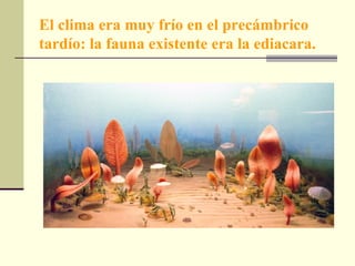 El clima era muy frío en el precámbrico tardío: la fauna existente era la ediacara. 