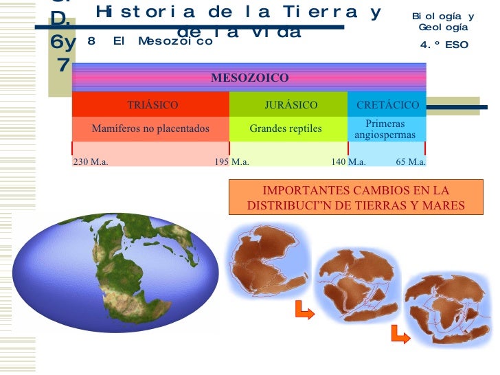 Historia De La Tierra Y De La Vida