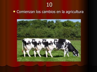10 Comienzan los cambios en la agricultura   