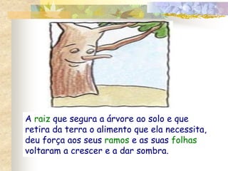 A raiz que segura a árvore ao solo e que
retira da terra o alimento que ela necessita,
deu força aos seus ramos e as suas folhas
voltaram a crescer e a dar sombra.
 