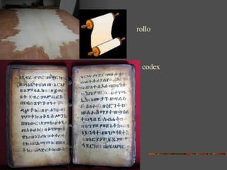 rollo codex 