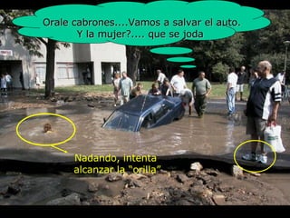 Orale cabrones.... Vamos a salvar el auto . Y  la mujer ?....  que se joda Nadando, intenta  alcanzar la “orilla” 