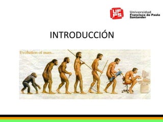 INTRODUCCIÓN Por siglos los hombres han tratado de usar fuerzas y artefactos de diferentes tipos para realizar sus trabajos, para hacerlos mas simples y rápidos. La historia conocida de los artefactos que calculan o computan, se remontan a muchos años antes de Jesucristo… en la prehistoria 