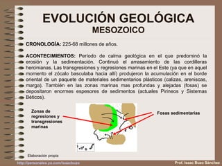 EVOLUCIÓN GEOLÓGICA MESOZOICO Prof. Isaac Buzo Sánchez CRONOLOGÍA:  225-68 millones de años. ACONTECIMIENTOS:  Período de calma geológica en el que predominó la erosión y la sedimentación. Continuó el arrasamiento de las cordilleras hercinianas. Las transgresiones y regresiones marinas en el Este (ya que en aquel momento el zócalo basculaba hacia allí) produjeron la acumulación en el borde oriental de un paquete de materiales sedimentarios plásticos (calizas, areniscas, marga). También en las zonas marinas mas profundas y alejadas (fosas) se depositaron enormes espesores de sedimentos (actuales Pirineos y Sistemas Béticos). Zonas de regresiones y transgresiones marinas Fosas sedimentarias Elaboración propia 