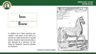 IMPERIO
BIZANTINO
Ilustración de la anatomía de caballos
La caballería fue un factor importante para
mantener a este imper...