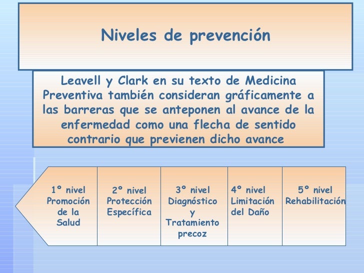 Objetivo Del Modelo De Leavell Y Clark Noticias Modelo