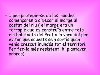 I per protegir-se de les riuades començaren a aixecar el marge al costat del riu ( el marge era un terraplè que es construïa entre tots els habitants del Prat a la vora del per evitar que aquests se’n sortís quan venia crescut inundés tot el territori. Per fer-lo més resistent, hi plantaven arbres). 